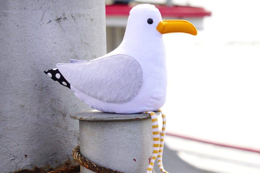 Möwe