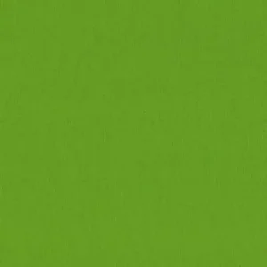 Spectrum Uni – 100% CO – Webstoffe, Farbe Grün – Bild 1