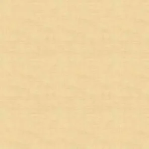 Linen Texture – 100% LI – Webstoffe, Farbe Beige – Bild 1